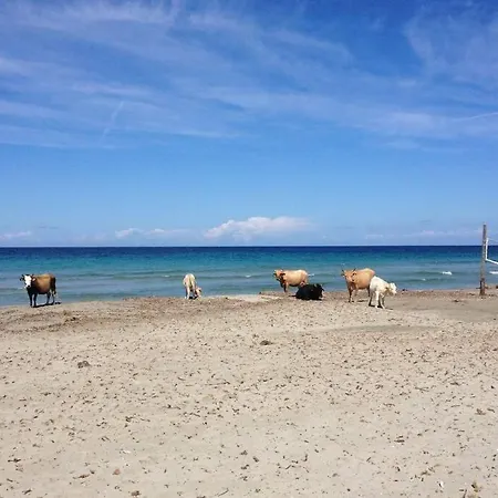 Hébergement de vacances Ancienne Maison De Pêcheur Rénovée Avec Goût Dans Le Cap Corse Centuri